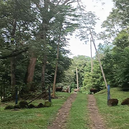 Cabana Rincon De Curubande Liberia Εξωτερικό φωτογραφία
